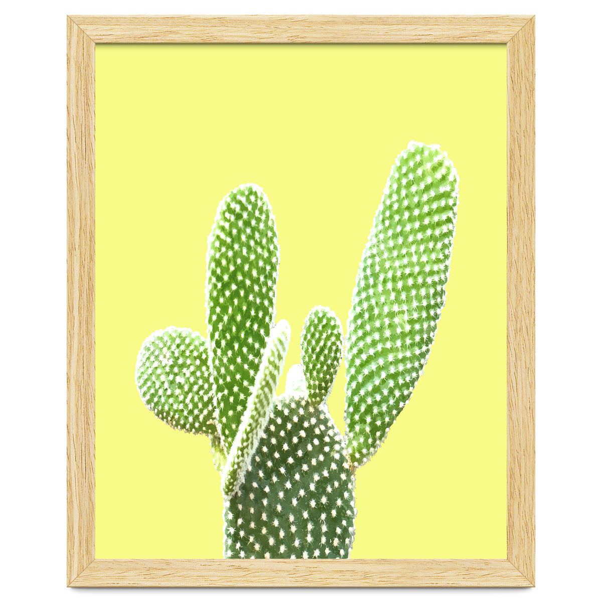Cactus Yellow Background