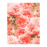 Fiona II (Print Only) thumbnail