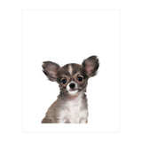 Chihuahua (Print Only) thumbnail