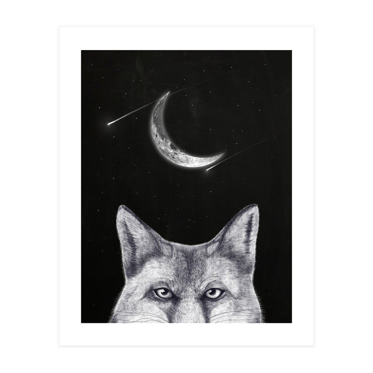 Fox Of The Night (Print Only)