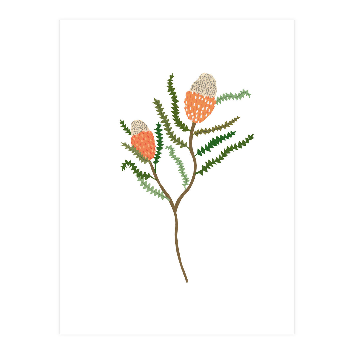 Banksia Flowers (Print Only)