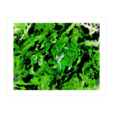 More Distinguishing Marks (Print Only) thumbnail