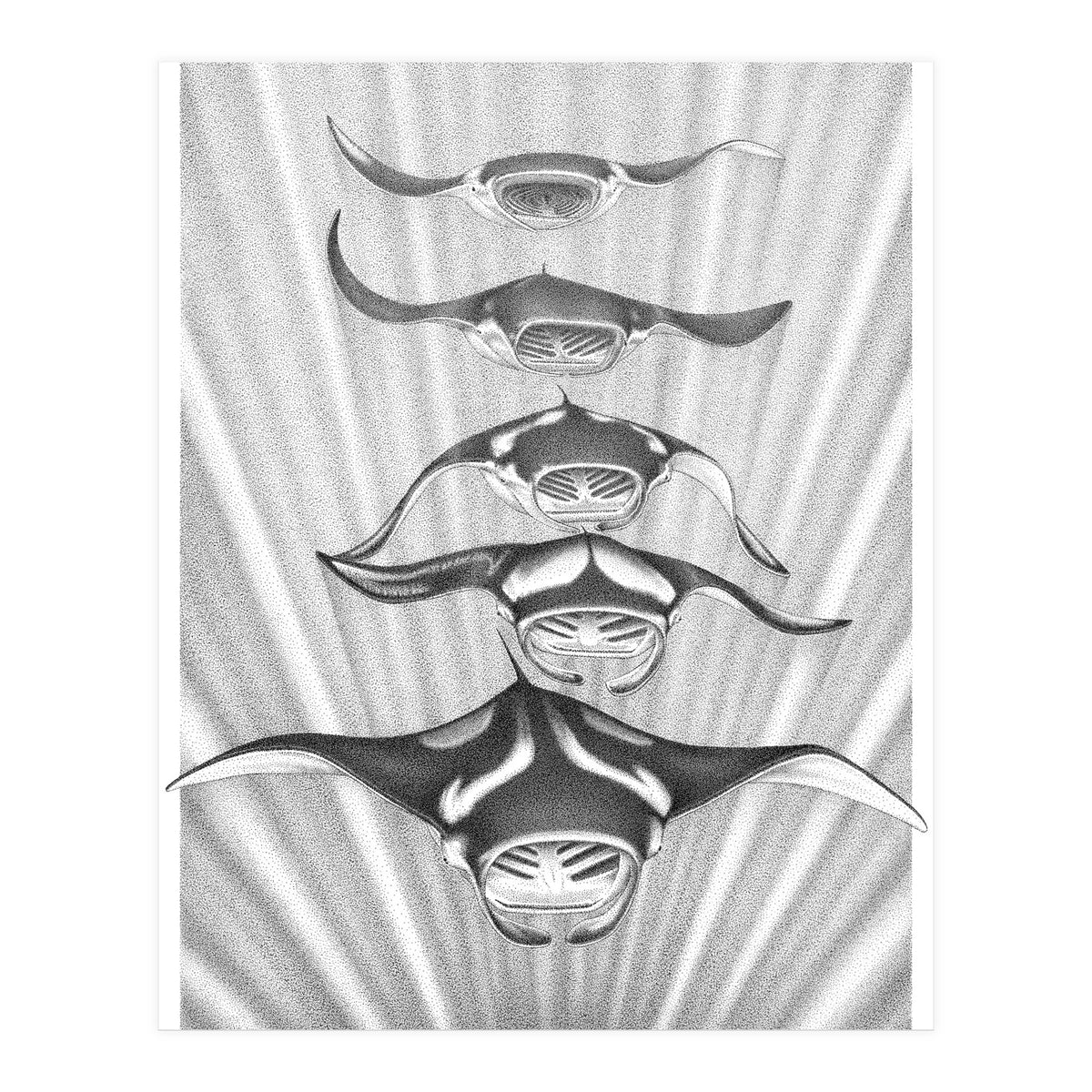 Manta Train (Print Only)