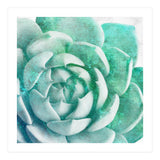 Rough Beauty 1 (Print Only) thumbnail