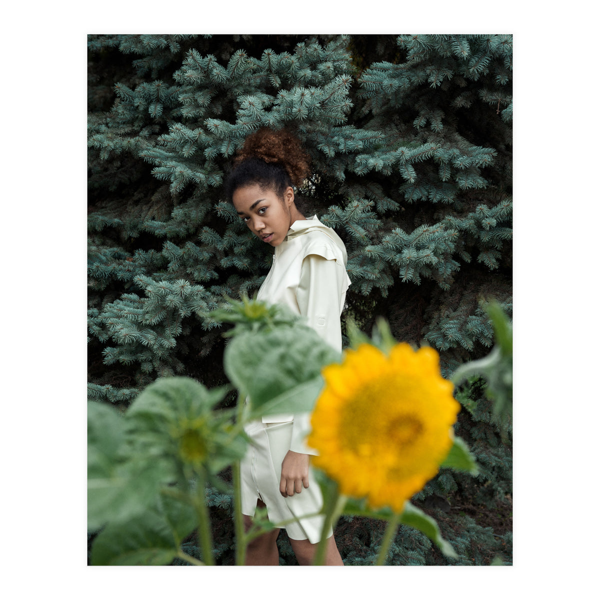 Northern Comfort (Print Only)