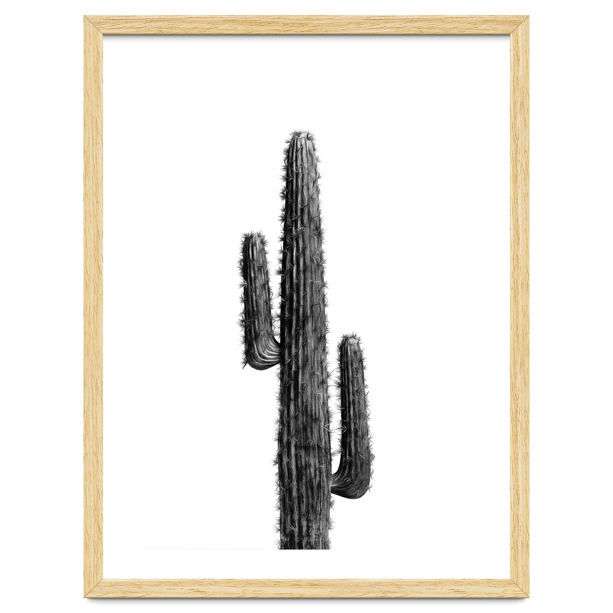Cactus Black and White 01