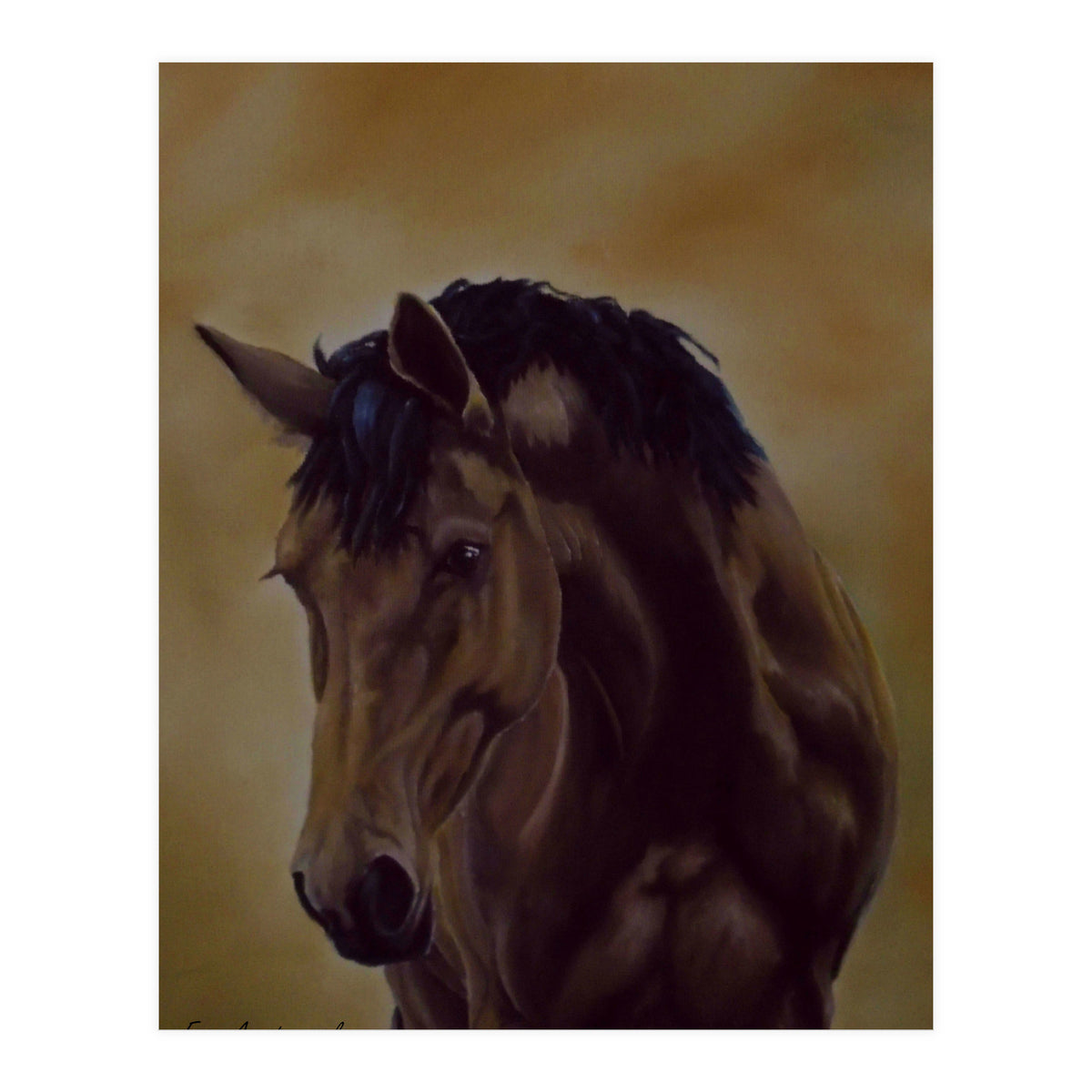 Astonishment (Print Only)