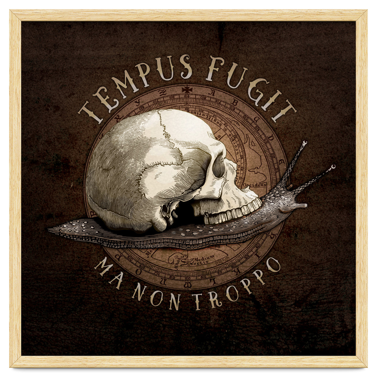 Tempus Fugit (ma non troppo)