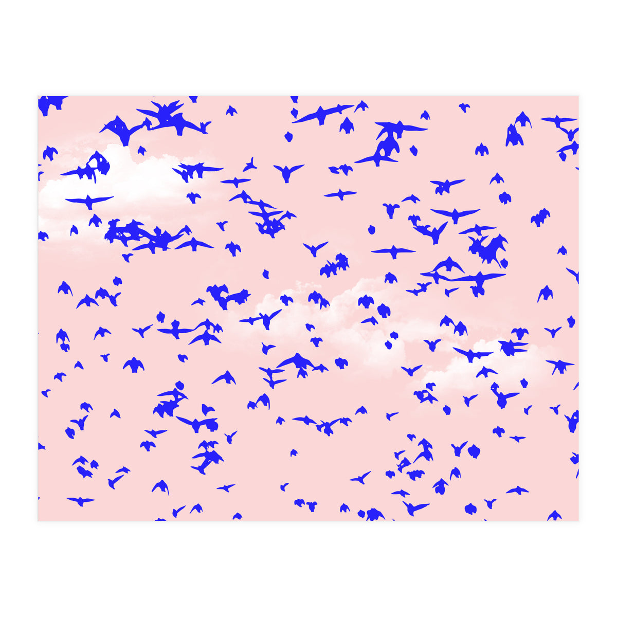 The Right To Fly (Print Only)