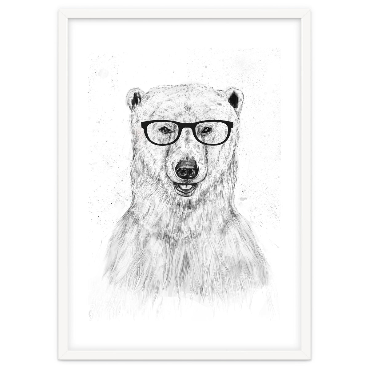 Geek Bear
