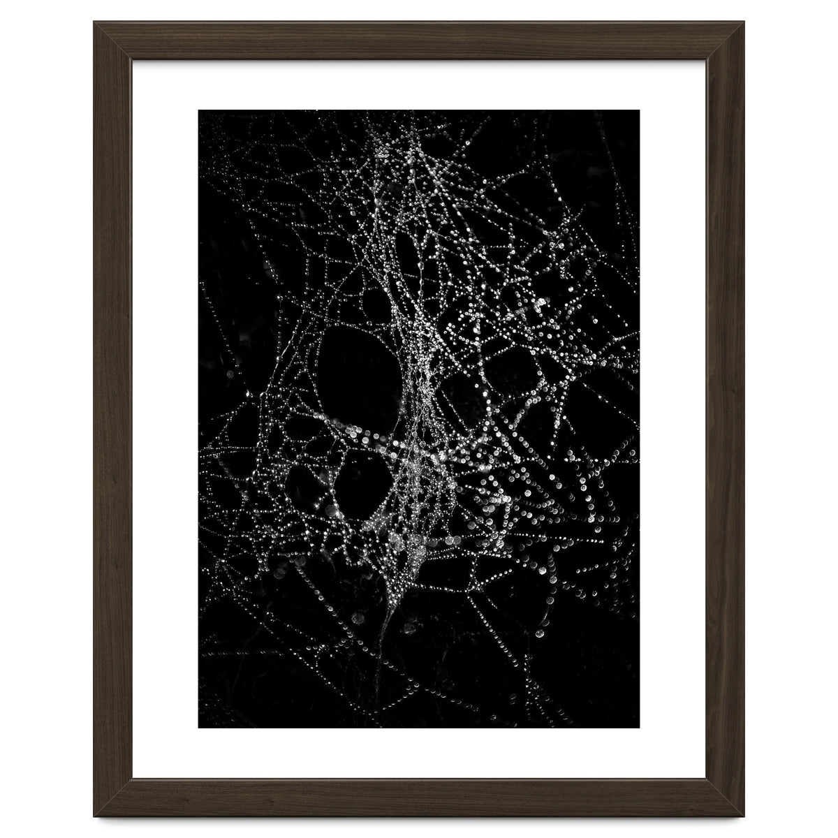 Spiderweb No 4