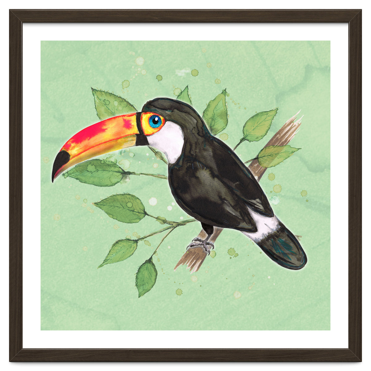 Toco toucan