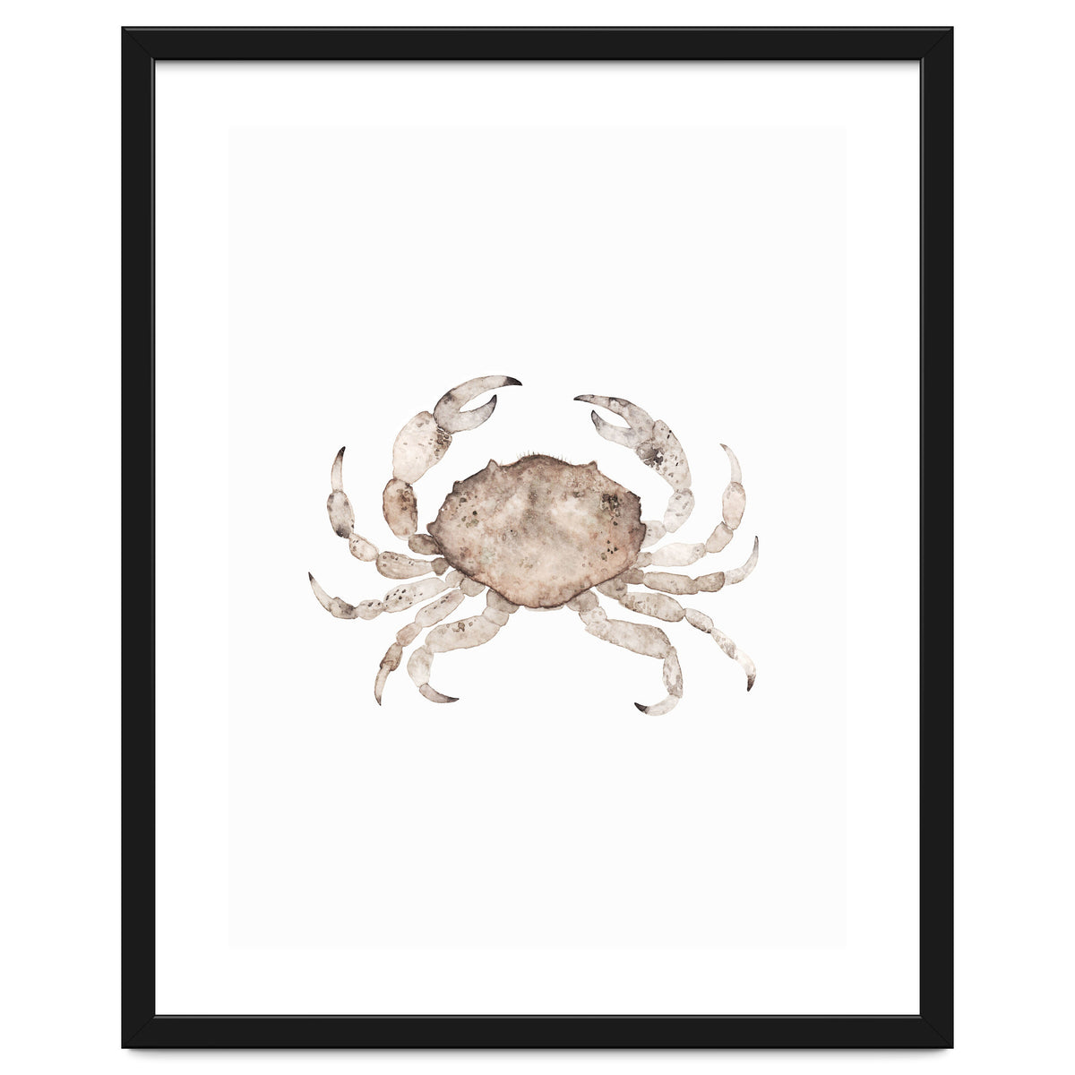 Crab