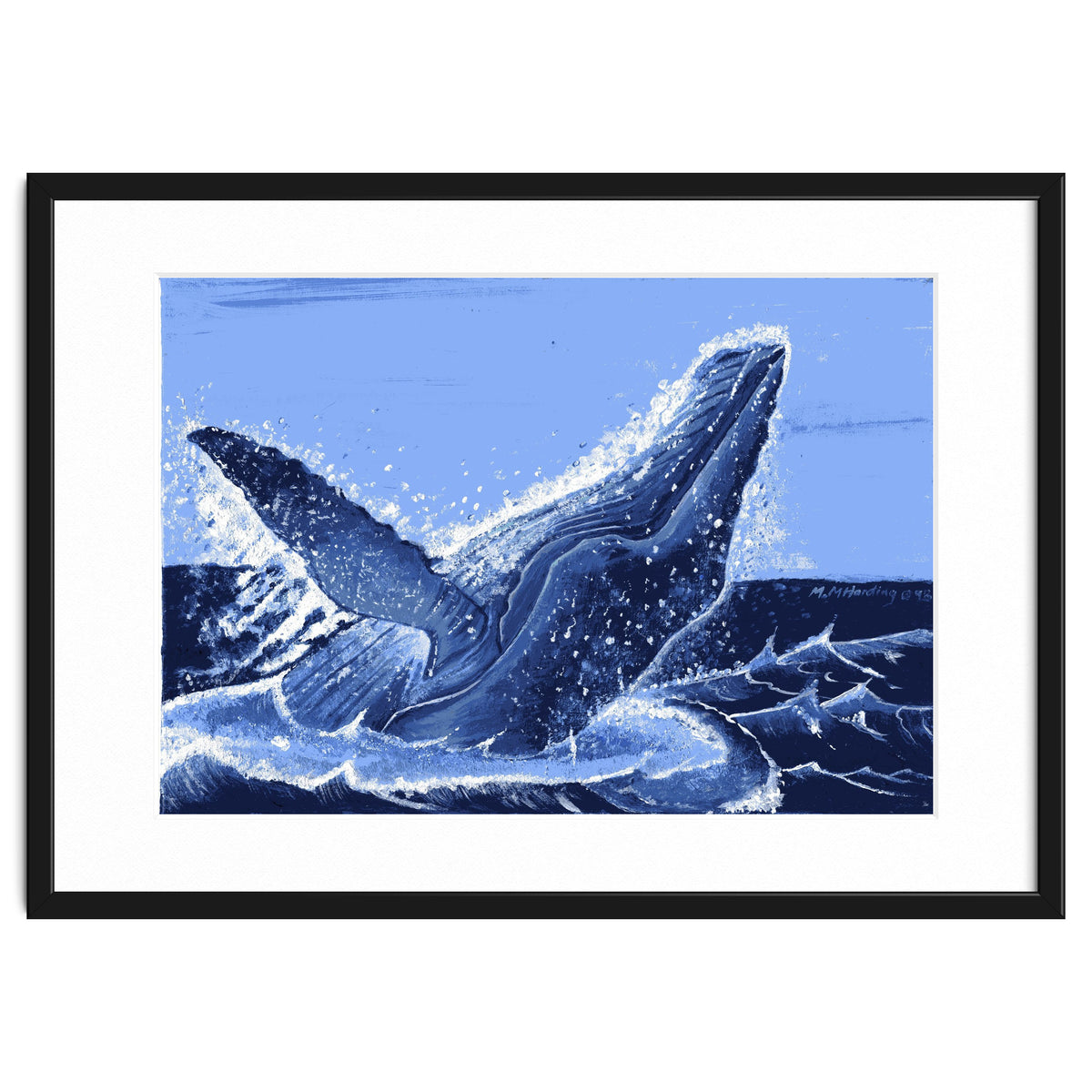 Humpback Whale Breaching