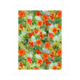 Nasturtiums watercolor 01 (Print Only) thumbnail