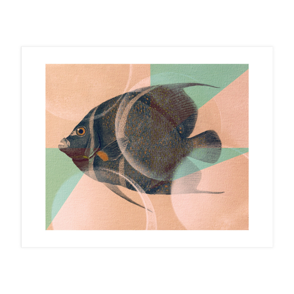 Fish Between Circles 2 (Print Only)