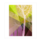 P22 A Trees And Triangles (Print Only) thumbnail