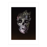 Metamorphosis  (Print Only) thumbnail