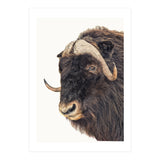 Cc Animal 02 (Print Only) thumbnail