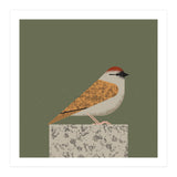 Sparrow  (Print Only) thumbnail