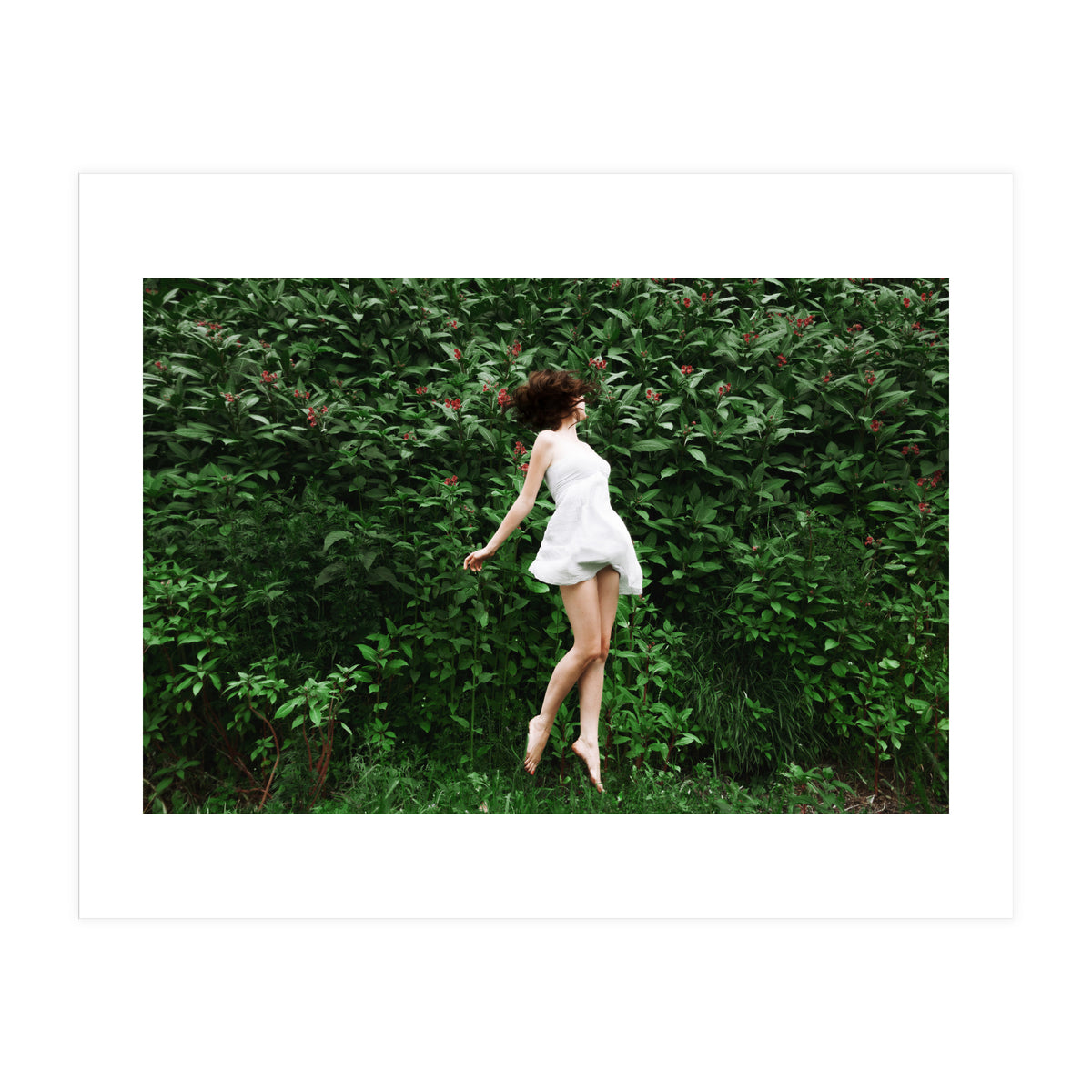 Greenfields (Print Only)