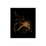 Cameo Fox (Print Only) thumbnail