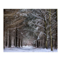 Dog Walkers in the Snow.  Heath Warren - Hampshire (Print Only)