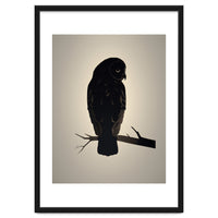 Owl Minimalist Picture