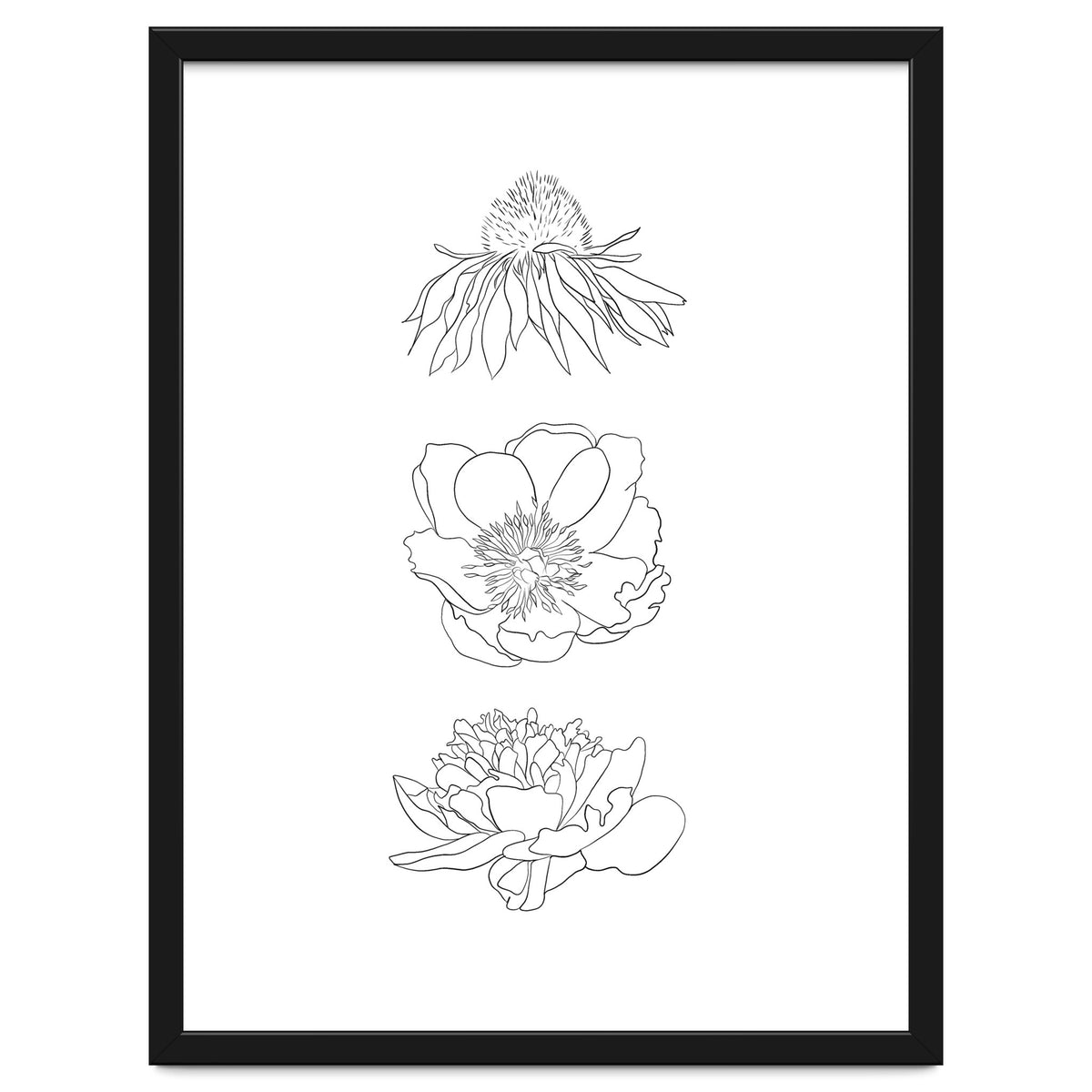 Hand Drawn Flowers