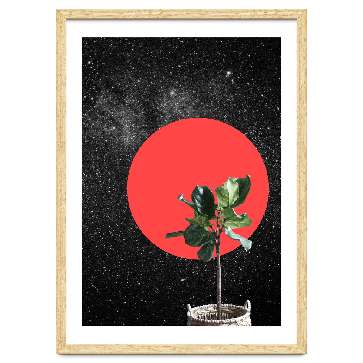 "Bonsai" - Digital Collage