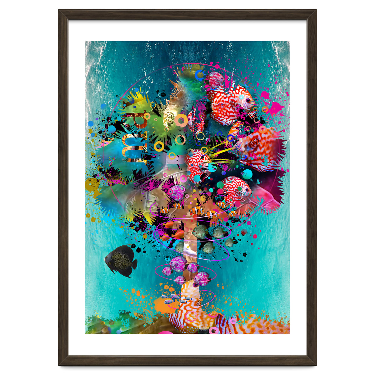 Surf Palm 02 Halfed Large2