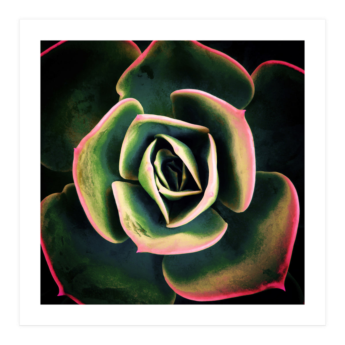 DARKSIDE OF SUCCULENTS XV (Print Only)