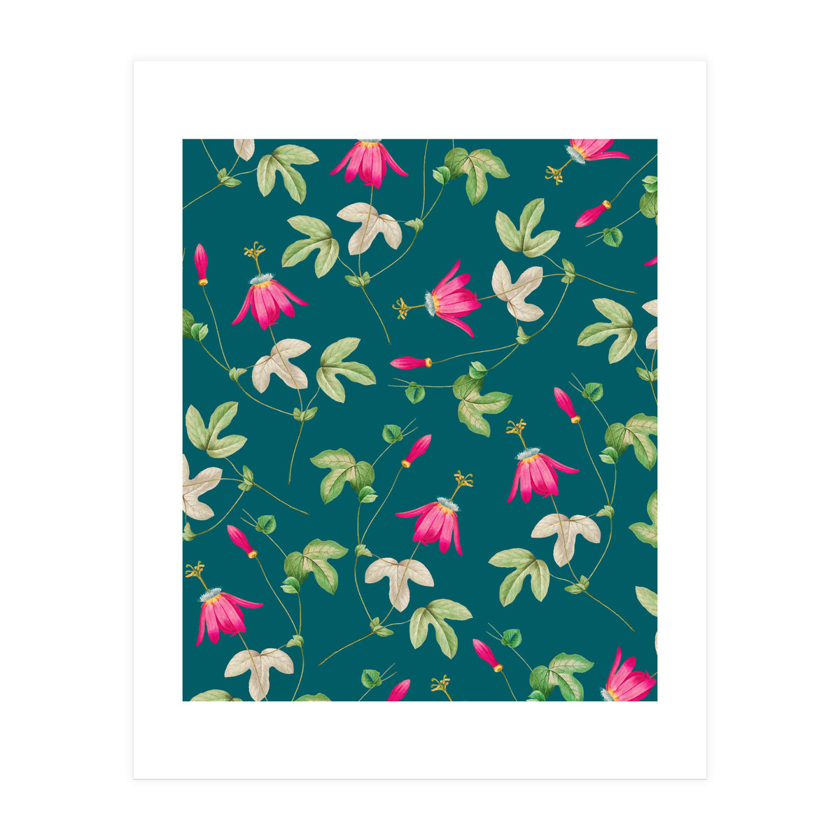 Art Of Nature (Print Only)