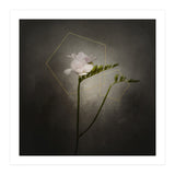 Graceful flower - Freesia | vintage style gold  (Print Only) thumbnail