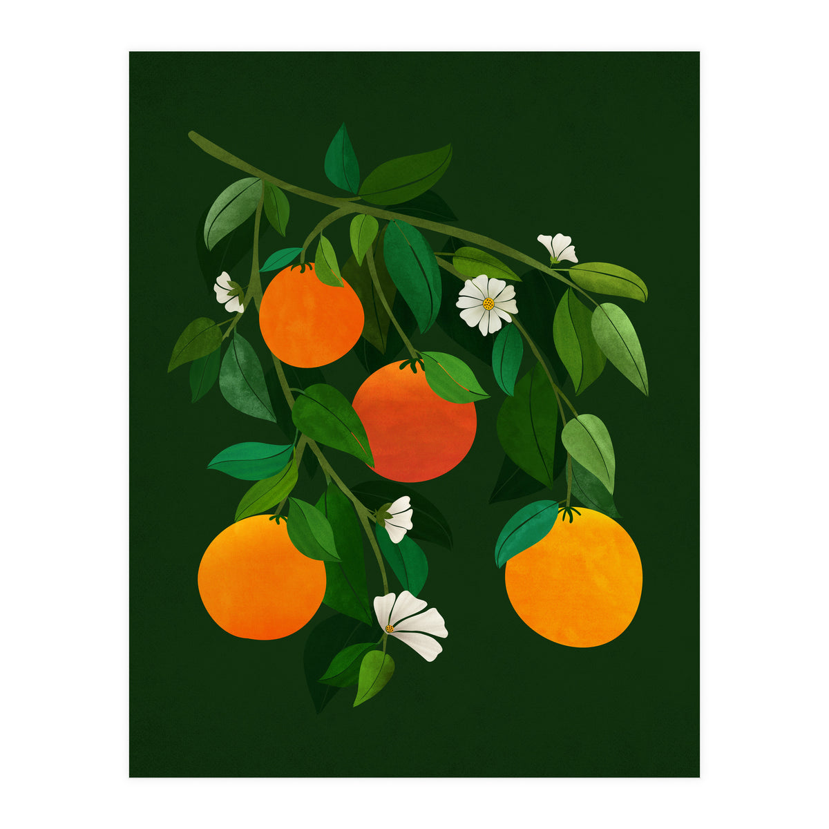 Oranges and Blossoms (Print Only)