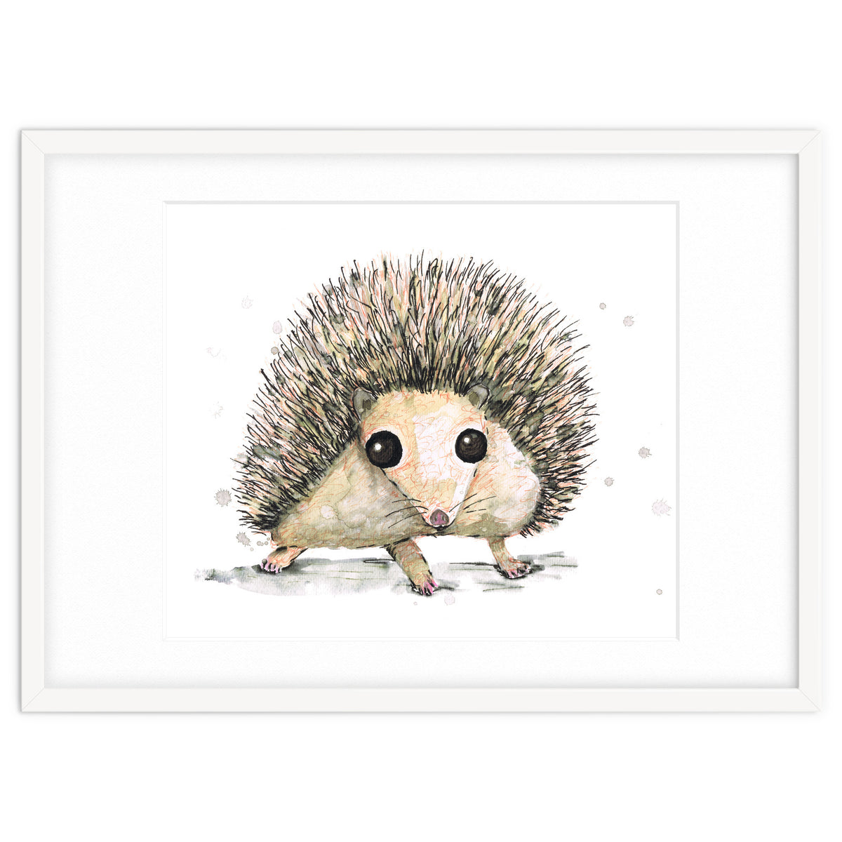 Hedgehog