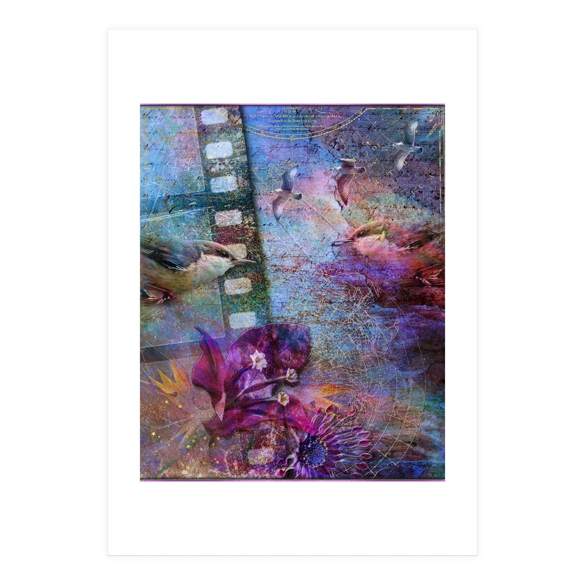 Watching the Wild World (Print Only)