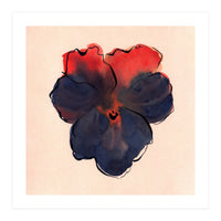 Blue Pansy (Print Only)