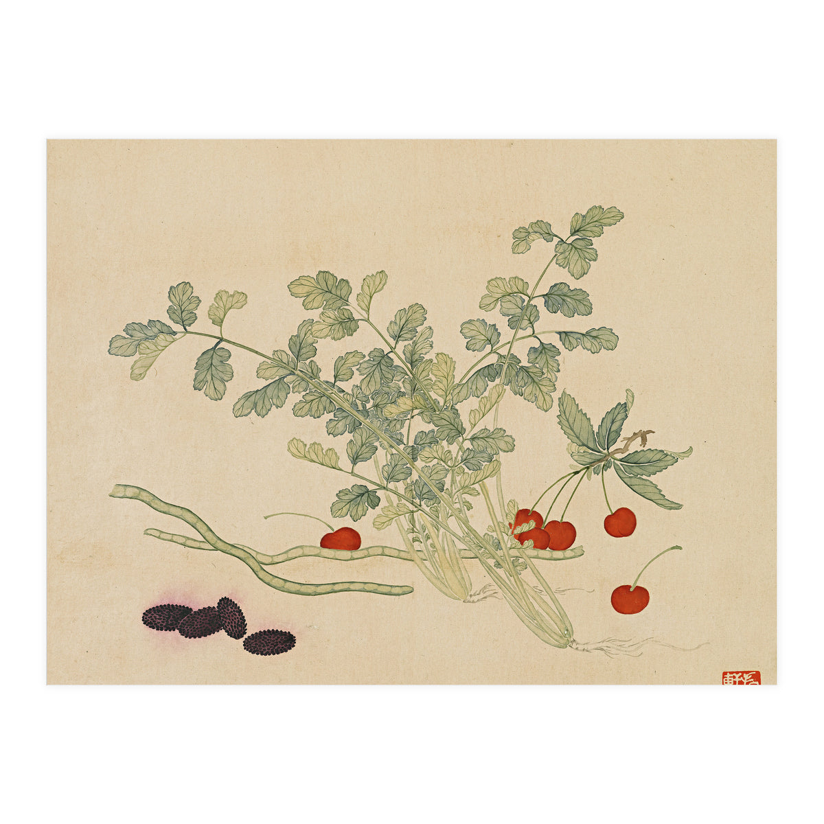 Wang Chengyu~flowers And Vegetables, Vegetables, Fruits, Beans, Red Beans, Cherries, Celery (Print Only)