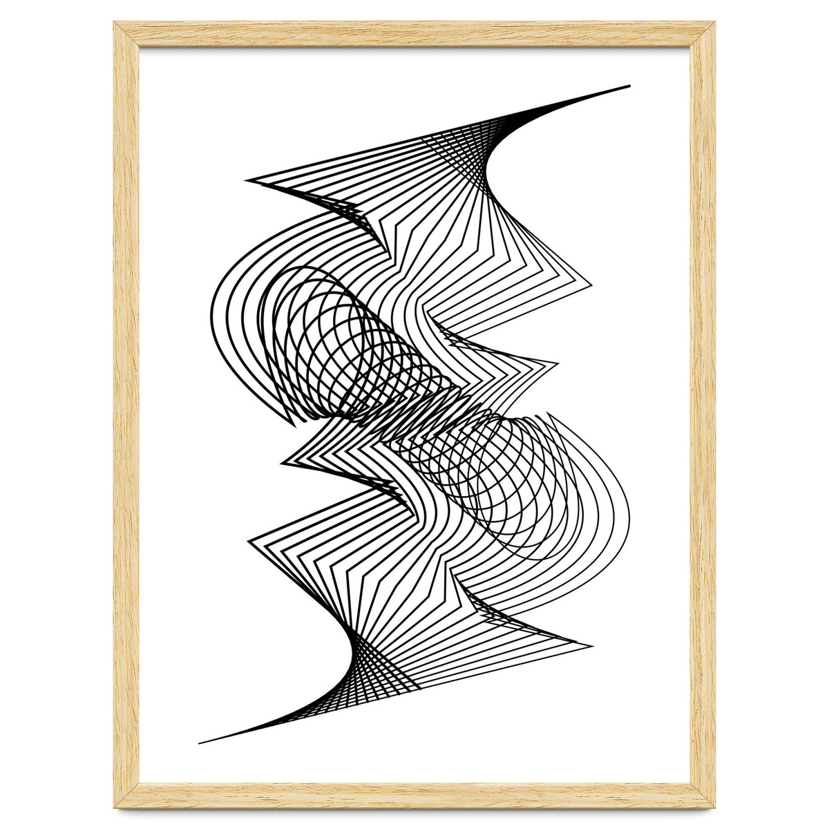 Organized Chaos_White