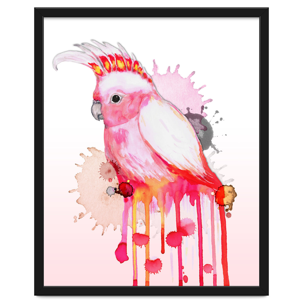 Major Mitchell's cockatoo