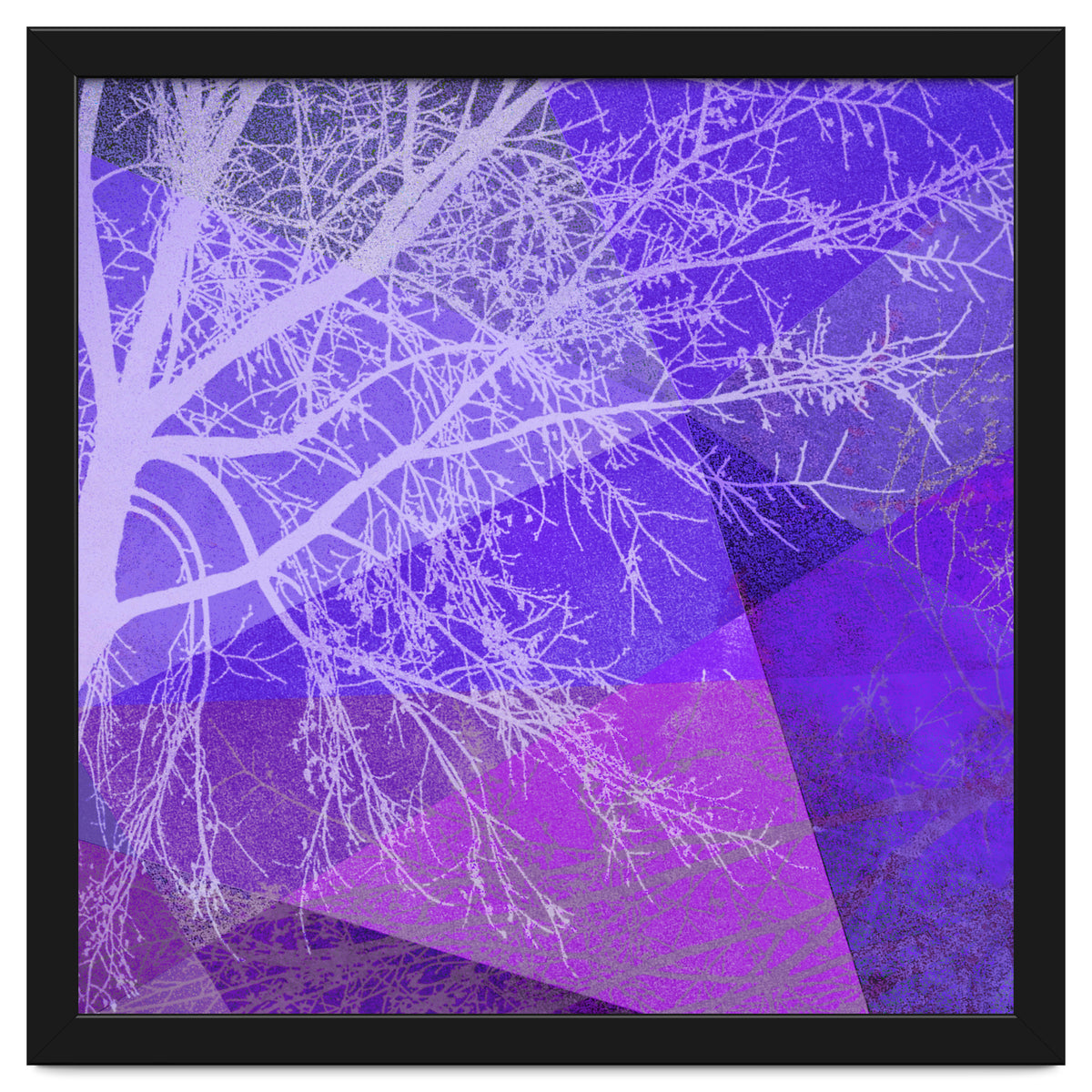 P19-D2 Trees and Triangles