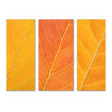 Autumn Leaves (Print Only) thumbnail
