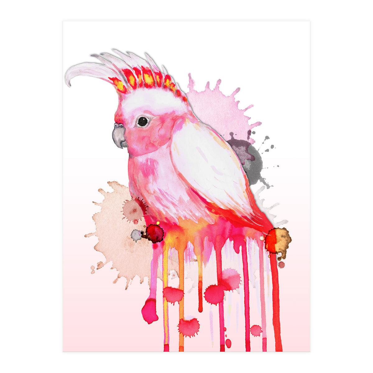 Major Mitchell's cockatoo (Print Only)