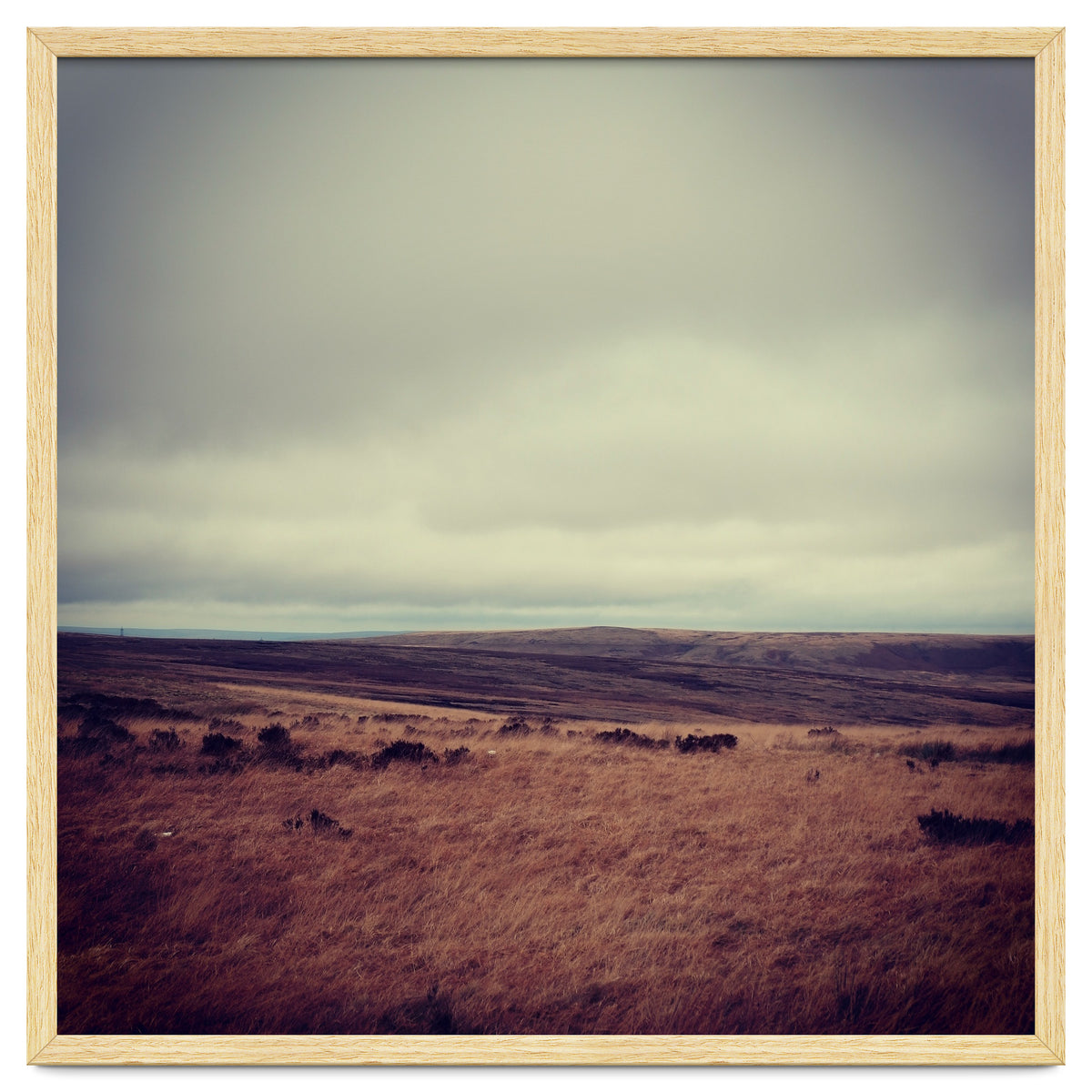 Bleak winter landscape of Saddleworth Moor
