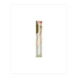 Letter I - (Impress) (Print Only) thumbnail