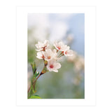 FLOWER (Print Only) thumbnail