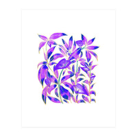 Ultraviolet Nature (Print Only)