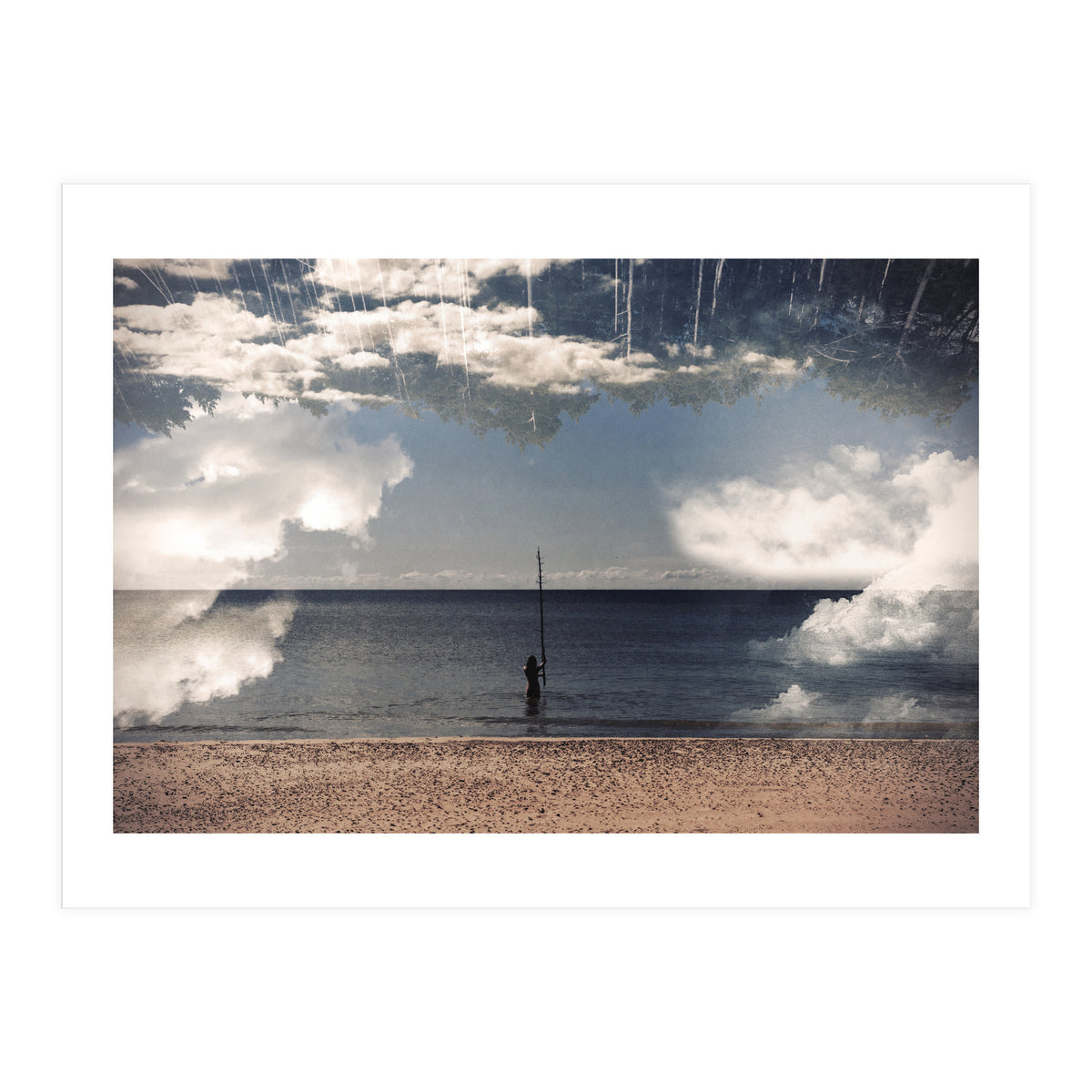 Sea Forest (Print Only)