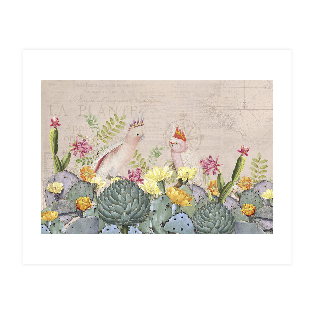 Desert Cockatoos (Print Only)